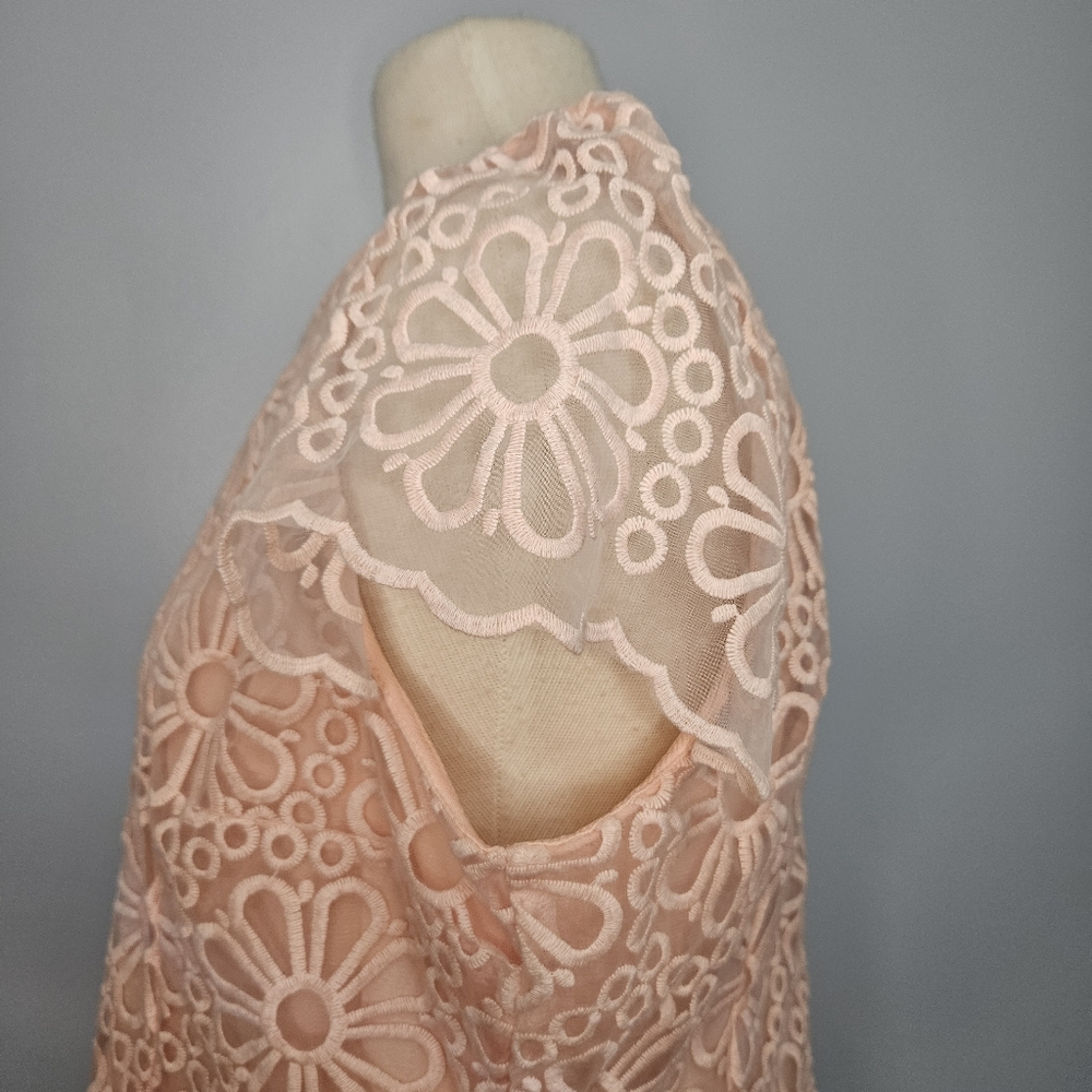 Lace Dress Size 14 New - Picture 12 of 16